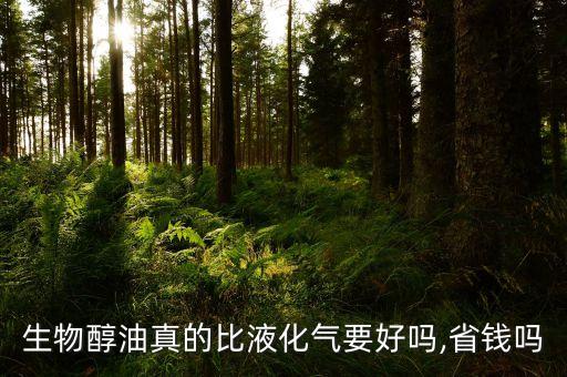 废醇价格,中华醇的价格