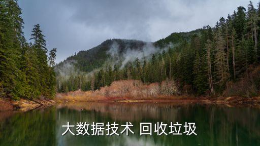 大数据技术 回收垃圾
