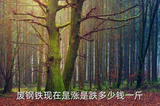 废钢铁现在是涨是跌多少钱一斤