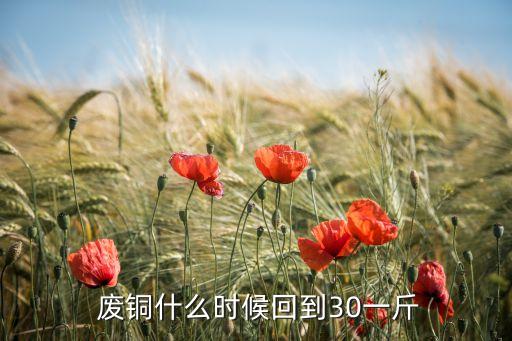  废铜什么时候回到30一斤