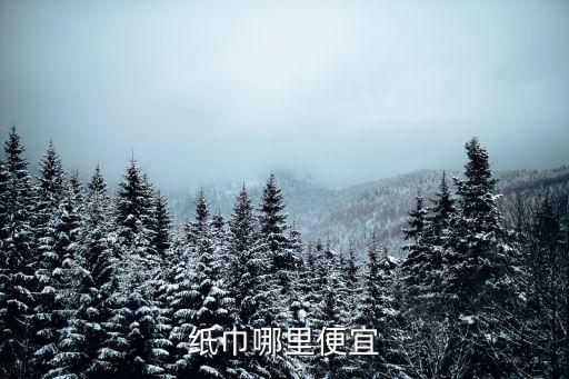 纸巾哪里便宜