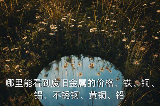 哪里能看到废旧金属的价格、铁、铜、铝、不锈钢、黄铜、铅