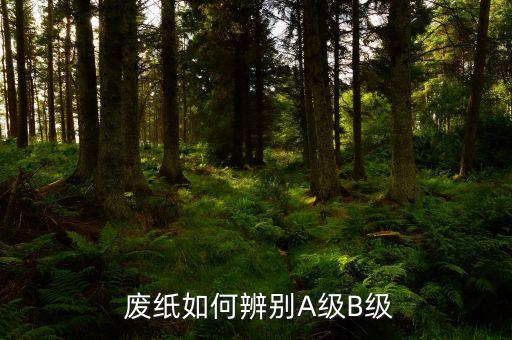 废纸白卡黄心