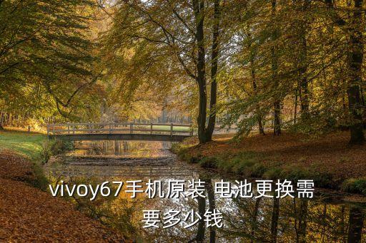 vivoy67手机原装 电池更换需要多少钱