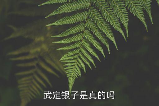 武定银子是真的吗