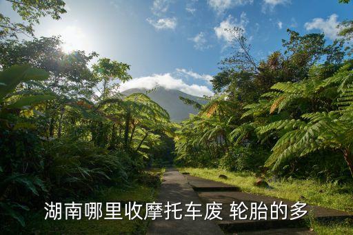 湖南哪里收摩托车废 轮胎的多