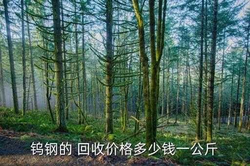 钨钢的 回收价格多少钱一公斤