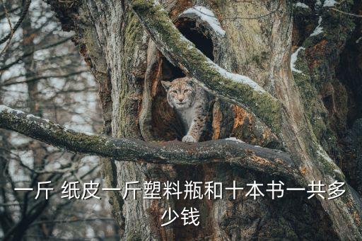 一斤 纸皮一斤塑料瓶和十本书一共多少钱