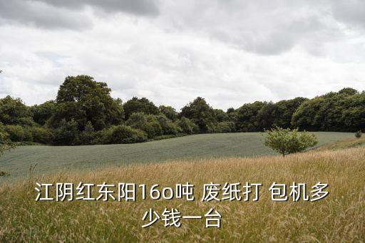 江阴红东阳16o吨 废纸打 包机多少钱一台
