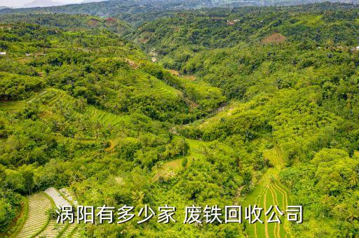 涡阳有多少家 废铁回收公司