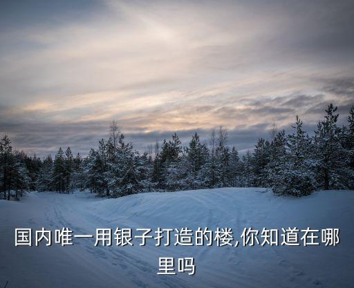 国内唯一用银子打造的楼,你知道在哪里吗
