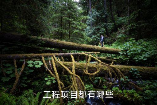 工程项目都有哪些