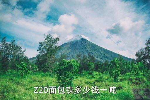 Z20面包铁多少钱一吨