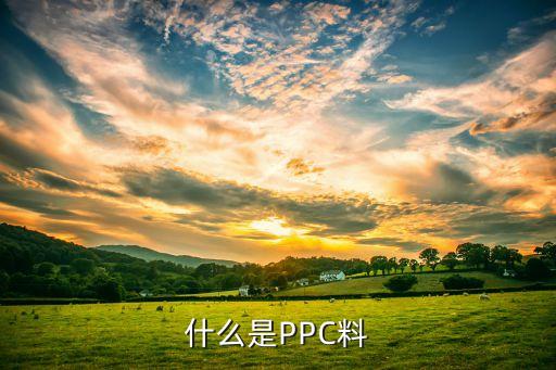 什么是PPC料