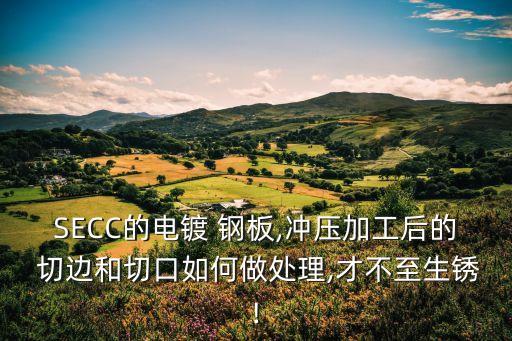 SECC的电镀 钢板,冲压加工后的 切边和切口如何做处理,才不至生锈!