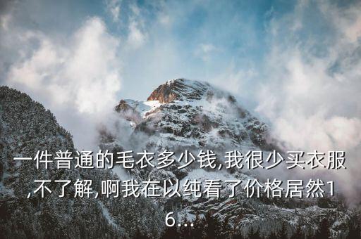 一件普通的毛衣多少钱,我很少买衣服,不了解,啊我在以纯看了价格居然16...