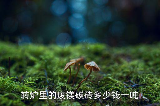 转炉里的废镁碳砖多少钱一吨
