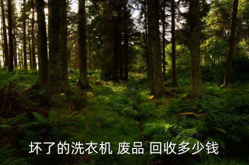 坏了的洗衣机 废品 回收多少钱