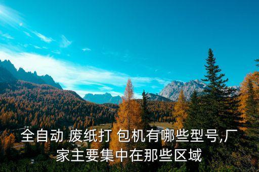 全自动 废纸打 包机有哪些型号,厂家主要集中在那些区域