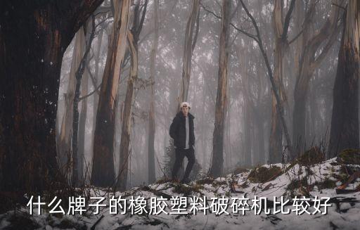什么牌子的橡胶塑料破碎机比较好