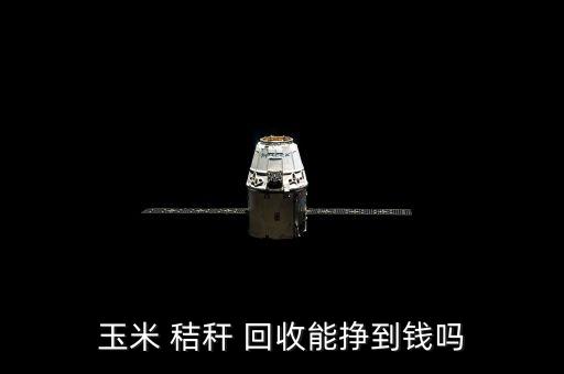 玉米 秸秆 回收能挣到钱吗