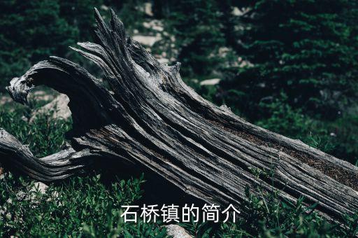 淄博石桥收废品,淄博高新区收废品电话