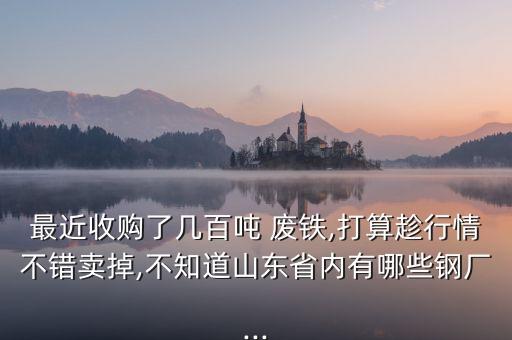 寿光废铁商户