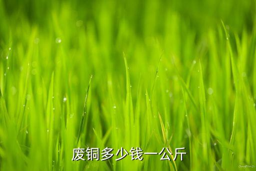  废铜多少钱一公斤
