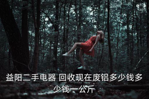 益阳二手电器 回收现在废铝多少钱多少钱一公斤