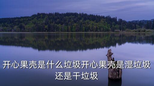 开心果壳是什么垃圾开心果壳是湿垃圾还是干垃圾