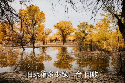 旧冰箱多少钱一台 回收