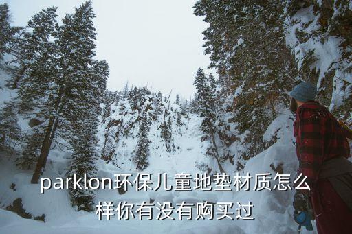 parklon环保儿童地垫材质怎么样你有没有购买过