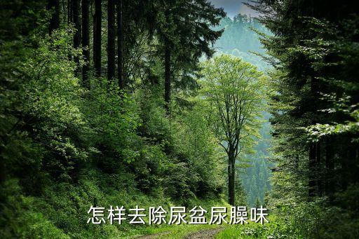 废纸做尿咋做,用废纸做蝴蝶怎么做?