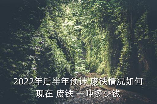 2022年后半年预计 废铁情况如何现在 废铁 一吨多少钱