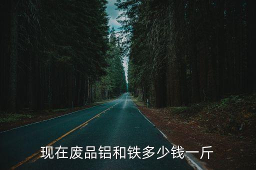 现在废品铝和铁多少钱一斤