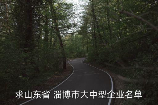 求山东省 淄博市大中型企业名单