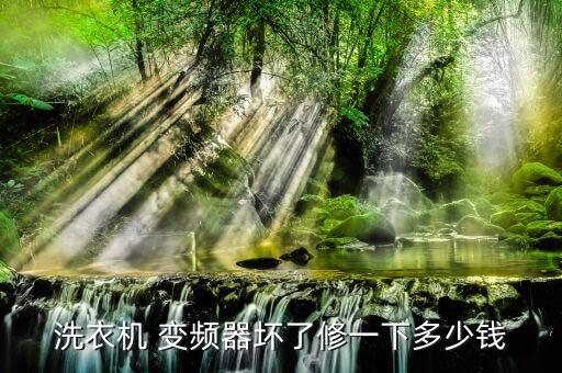 洗衣机 变频器坏了修一下多少钱
