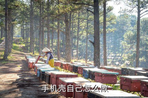 废纸制作手机壳,废纸壳制作小房子