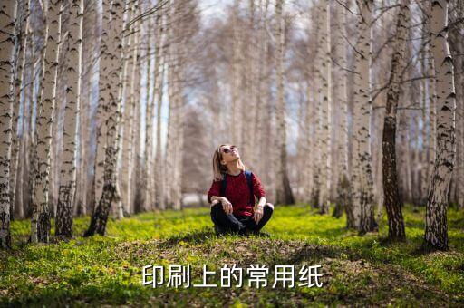 印刷上的常用纸
