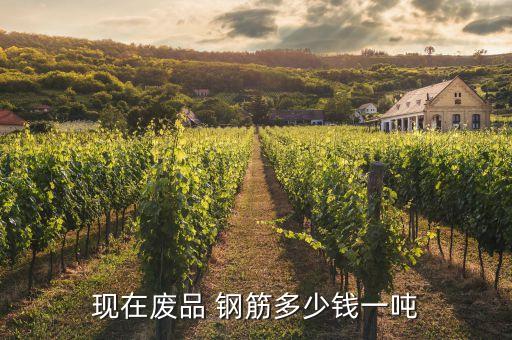 现在废品 钢筋多少钱一吨