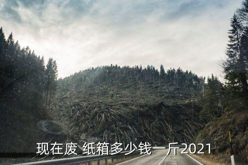 现在废 纸箱多少钱一斤2021