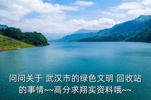 问问关于 武汉市的绿色文明 回收站的事情~~高分求翔实资料哦~~