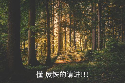 懂 废铁的请进!!!