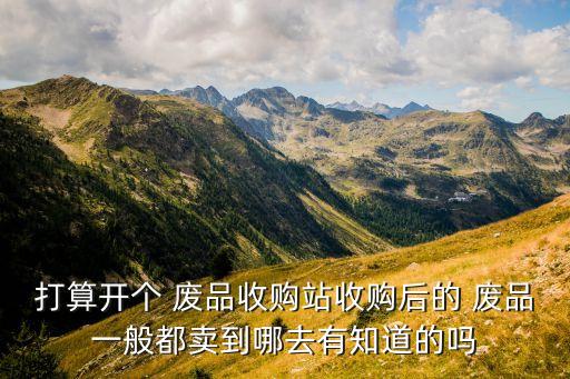 打算开个 废品收购站收购后的 废品一般都卖到哪去有知道的吗