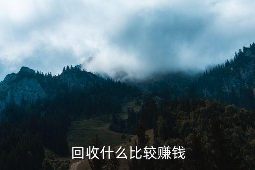  回收什么比较赚钱