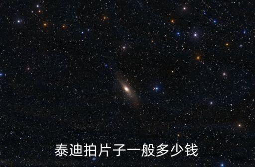 泰迪拍片子一般多少钱