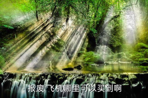  报废 飞机哪里可以买到啊