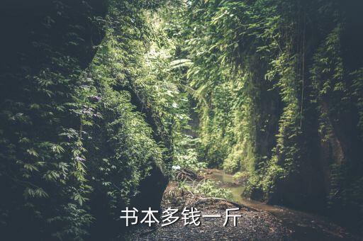 书本多钱一斤