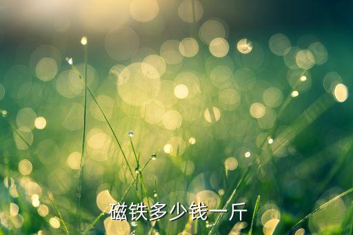  磁铁多少钱一斤