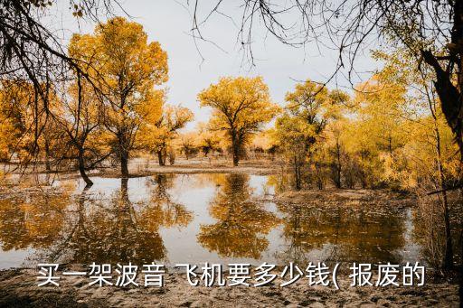 买一架波音 飞机要多少钱( 报废的